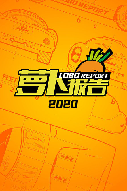 萝卜报告 2020