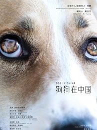 狗狗在中国